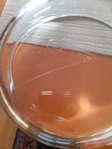 Pyrex 2,1 L Glasbackform Mit Deckel Kunden-Foto 1
