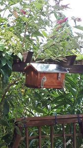 Hummel Hummelhaus Hummelkasten Nistkasten Insektenhaus Haus Insektenhotel XXL Kunden-Foto 1