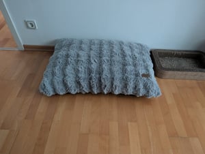 WISFOR Hondenbed, hondenbank, hondenbankje, hondenmand. Pluche, waterdicht, wasbaar. Afneembare hoes. Afmetingen: L: 90 x 60 x 10 cm, grijs Klantenfoto 2