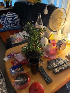 Geschenkset Bonsai "Carmona" - Fukientee - ca. 6 Jahre alt - Set für Anfänger Kunden-Foto 1