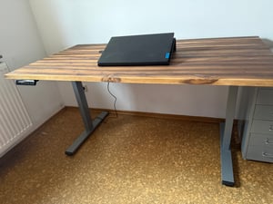 FlexiSpot E1 Pro Bureau réglable en hauteur, double moteur, capacité de charge de 120 kg, 4 mémoires de réglage, protection anti-collision, piètement électrique (noir) Photo du client 1