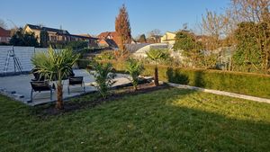 Palme XXL 180 cm Phoenix canariensis, kanarische Dattelpalme, winterhart Kunden-Foto 9
