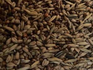 Vogelfood 25 kg Streufutter für Vögel Wildvogelfutter Ganzjahresvogelfutter Sommerfutter Kunden-Foto 2