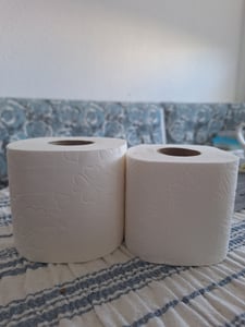 Almusso Toilettenpapier BIG-pack 40 Rollen Kunden-Foto 2