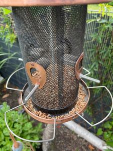 25 kg schalenloses Streufutter mit Mehlwürmer Kunden-Foto 5