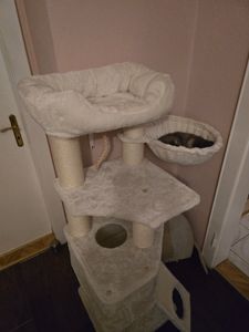 FEANDREA Kratzbaum 186 cm, Katzenbaum für große katzen, 13 dicken Säulen (11 cm d), stabil, Kippschutz, Tintenschwarz Kunden-Foto 16