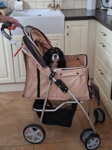 COSTWAY Hundewagen Haustiere Buggy bis 15kg, Hundebuggy mit Netzfenstern & Getränkehalter & Anhänger, Katzenbuggy für kleine Hunde Katzen (Dunkelblau) Kunden-Foto 6