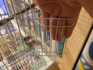 Gabbia per uccelli VEVOR, gabbia in metallo per piccoli pappagalli, canarini, cacatua, inseparabili, fringuelli, pappagallini, conures, casetta per uccelli Foto del cliente 3