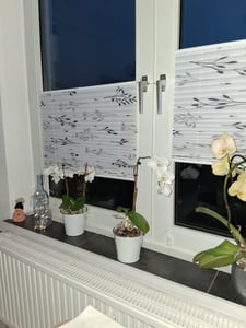 WOLTU Plissee Faltrollo Klemmfix ohne Bohren Grau mit Klemmträger Blickdicht Sichtschutz Sonnenschutz, Jalousie für Tür & Fenster 60 x 130 cm Kunden-Foto 1