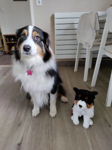 Teddy-Hermann Teddy Hermann Golden Retriever sitzend, 25 cm Kunden-Foto 1