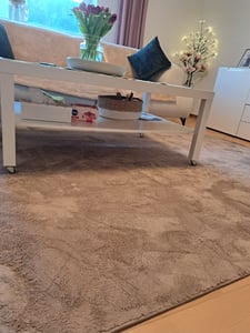 Waschbarer Teppich Wohnzimmer Kurzflor Einfarbiger Moderner Stil Weich Taupe Grösse 200x280 cm Kunden-Foto 3