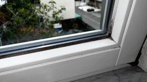 VEXIL Profi Schimmelentferner für Wand, Bad, Fliesen, Fugen & mehr – mit AKTIV-CHLOR und HAFTEFFEKT – Extra starkes Schimmelspray –  Germany Kunden-Foto 2