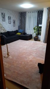 TT Home Wohnzimmer Teppich Kurzflor Anti-Rutsch Rückseite Unifarben Modern Waschbar Größe 300x400 cm Kunden-Foto 13