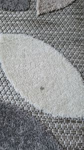 Tapiso Teppich PATIO Outdoor – Balkon und Terrassen Teppich, wetterfest & pflegeleicht 140 x 200 cm Kunden-Foto 2