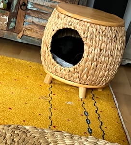 Pawhut kattenhol van riet, 2-in-1 design, kattenmand met kussen, kattenhuis Klantenfoto 1