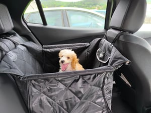 Seggiolino auto RAGI per cani e gatti - box pieghevole per il trasporto sul sedile posteriore o nel bagagliaio, coperta protettiva, tappetino antiscivolo, rete Foto del cliente 1