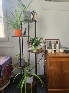 CMYbabee Pflanzenständer, 7 Etagen Hölzern Blumenregal Pflanzenregal, Mehrstöckig Blumenständer Pflanzenständer Blumenbank Blumentreppe Pflanzentreppe Standregal Kunden-Foto 4