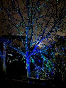 LED Projektionslampe Außen Innen IP65, RGB Laserstrahler Stern Laserprojektor Fernbedienung Timer Weihnachten Wanddekoration Party Feier Halloween Kunden-Foto 1