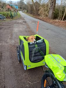 DOGGYHUT® Premium LARGE Hundefahrradanhänger  15 - 30kg Hundeanhänger Fahrradanhänger für Hunde mittelgroße bis große Hunde Kunden-Foto 7
