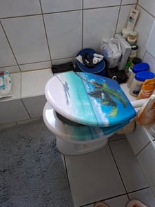 TWOLIIN WC sedátko s mechanismem Soft-Close WC sedátko Prémiové WC víko Antibakteriální WC víko WC sedátko z Duroplastu, hvězdice Fotografie od zákazníka č. 2