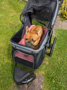 PawHut Hundebuggy mit Reflektoren, Faltbarer Katzenbuggy für Kleine Mittle Hunde Kunden-Foto 11