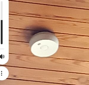 Der affengeile Rauchmelder