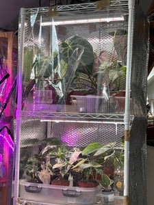 4x T5 LED Pflanzenlampe Vollspektrum Pflanzenlicht Erweiterbar Grow Lampe für Zimmerpflanzen Kunden-Foto 1