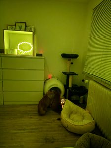 Vom Kunden hochgeladene Foto