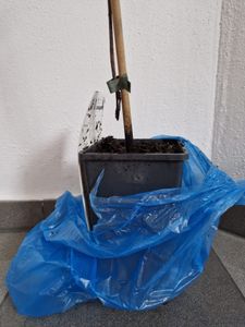 Achtung! Hier wird Müll verschickt