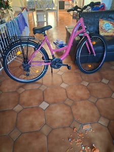 Licorne Bike Stella Premium City Bike 20,24,26 und 28 Zoll Fahrrad für Mädchen Herren und Damen 21 Gang (6 Gang bei 20 Zoll) Holland Citybike Kunden-Foto 5