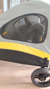 WISFOR Hundebuggy Faltbar, XL Hundewagen für mittelgroße und große Hunde bis 65kg,  Hundeanhänger Hundetasche mit verstellbar Griff Kunden-Foto 13