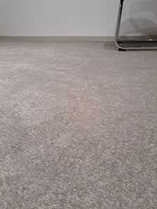 Steffensmeier Teppichboden Cambridge Young Meterware  | Auslegware für Kinderzimmer Wohnzimmer Schlafzimmer | Silber, Größe: 300x500 cm Kunden-Foto 1