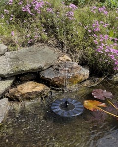 Solar Springbrunnen für Außen, Solar Teichpumpe mit Sprüh Effekten, Garten Wasserspiel - SOLAR FOUNTAIN Kunden-Foto 5