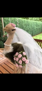 Oblique Unique Brautschleier für JGA Junggesellinnenabschied Hochzeit Schleier weiß Kunden-Foto 1