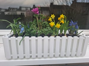 NABBI Selbstbewässernder Balkonkasten aus Kunststoff DDEF600W 58 cm - weiß Kunden-Foto 1