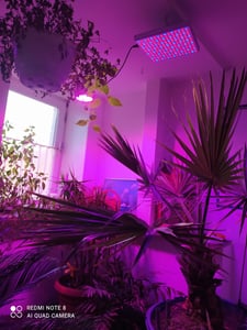 TolleTour 2x Pflanzenlampe LED Vollspektrum 15W 225LEDs Pflanzenlicht Pflanzenleuchte Wachstumslampe Grow Light für Zimmerpflanzen, Hydroponic, Indoor Seeding Veg Flower, Gemüse und Blumen Kunden-Foto 1