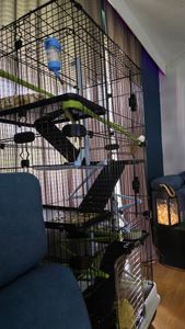 Nagervoliere BIG CAGE XXXL Nagerkäfig Käfig  Voliere Metall Nager Kleintierkäfig Kunden-Foto 4