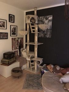tectake® Kratzbaum Hansi 243 bis 260 cm inklusive 2 Treppen, 2 Spielbällen, Deckenspanner und Kippschutz Kunden-Foto 9