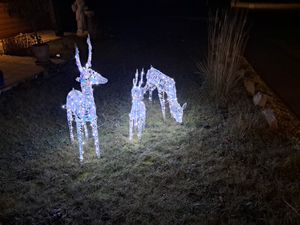 LEADZM 2-teiliges Weihnachtsbeleuchtung Rentier mit Schlitten & 135 warmweißen Lichtern, Weihnachten Deko für Außen und Innen Kunden-Foto 11