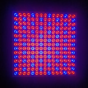 VINGO LED Pflanzenlampe Garten- & Gewächshaus-Zubehör 45W Pflanzenleuchte 225 LEDs fuer Gewaechshaus, Red Blue Voll Spektrum Pflanzenlicht fuer Saemling, Garten, Blumen, Innengarten Grow Lampe Kunden-Foto 1