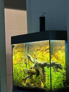 Dennerle Carbo  Style 120 -  CO2 Düngeanlage für Süßwasser-Aquarien Kunden-Foto 1