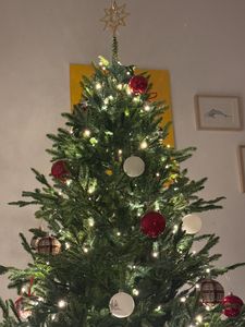 Meisterhome® LED Weihnachten Weihnachtsbeleuchtung Lichterkette Tannenbaum innen/außen Warmweiß - 400 LEDs - 30m + 5m Zuleitung Kunden-Foto 1