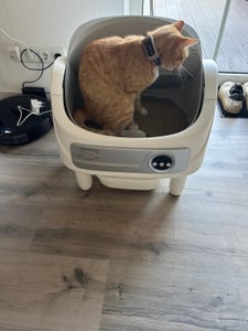 Lettaia autopulente da 75 L, mai più pulizie quotidiane, lettiera aperta con app, capacità XXL per case con più gatti, Aromabox, modalità notturna Foto del cliente 2