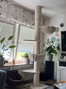 HAPPYPET Kratzbaum 'Leonardo' Grosse Katzen Stabil XXL Deckenhoch, 250 bis 275 cm - 18 cm Dicke Stämme, Katzenkratzbaum für Maine Coons & Ragdolls Kunden-Foto 2