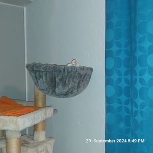 HAPPYPET Katzenhängematte für Kratzbaum Ø40 cm – XL Katzenmulde Ersatzteil – Stabile Liegemulde mit Metallrahmen – Katzenbett Kratzbaum – bis 15 kg Kunden-Foto 2
