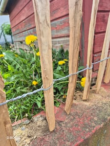 Staketenzaun in 26 Größen - Holzzaun aus Haselnuss - Gartenzaun Holz Höhen 50 cm - 150 cm Länge 5/10 Meter - Kastanienzaun für Garten (90cm x 5m) Kunden-Foto 16
