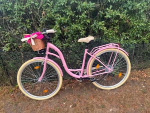 Milord Komfort Fahrrad Mit Weidenkorb Damenfahrrad, 28 Zoll, Grün-Creme, 7 Gang Shimano Kunden-Foto 1