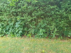Zaun Teichzaun Steckzaun für Garten 18 Zaunelemente Gartenzaun V2Aox Kunden-Foto 1