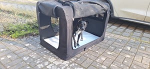 Feandrea M Transportbox faltbar Oxford-Gewebe,Netzstoff,atmungsaktiv,Schwarz Kunden-Foto 1