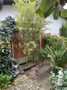 Weidenmatte 120 x 300 cm Sichtschutz Sichtschutzmatte Weidenzaunmatte Kunden-Foto 1